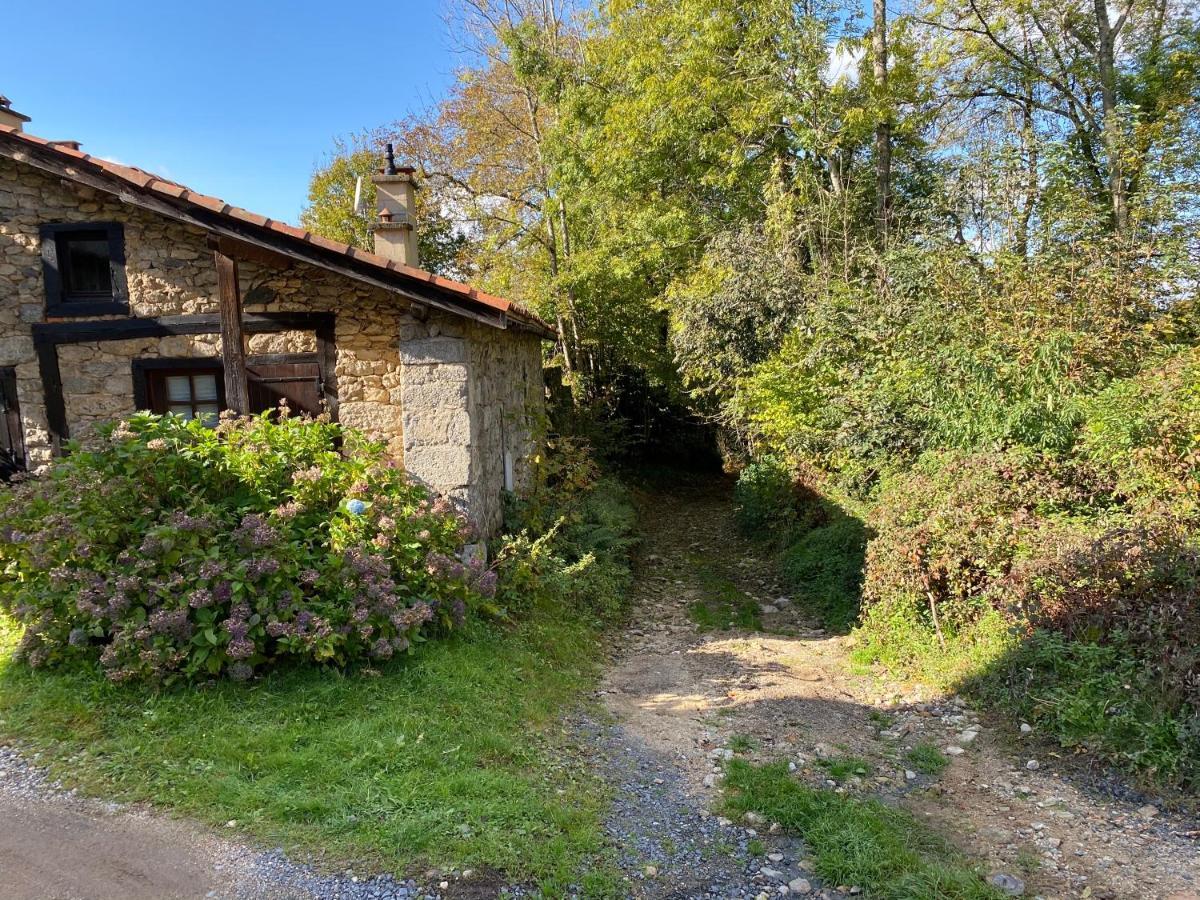 La Vaisse Bed and Breakfast Ambert Buitenkant foto